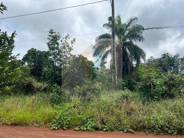 #129 - Área para Venda em Chapada dos Guimarães - MT - 1
